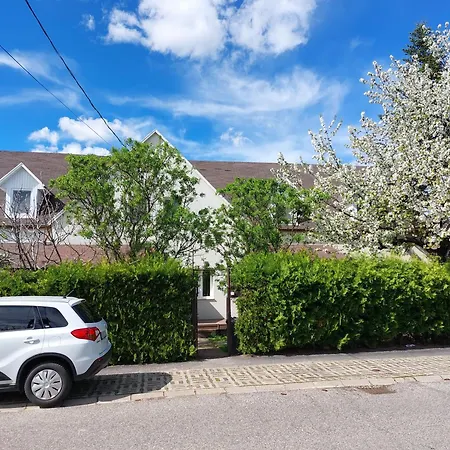 布雷吉汉斯酒店 *