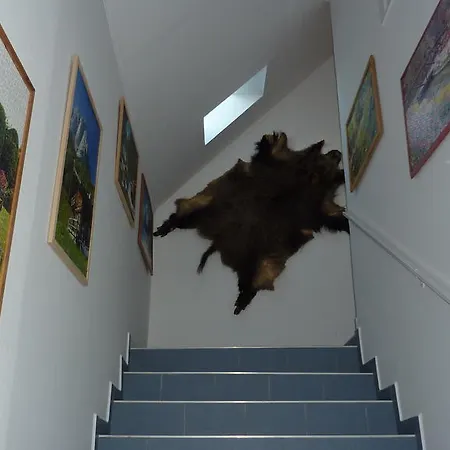 公寓 布雷吉汉斯酒店 巴拉顿菲赖德